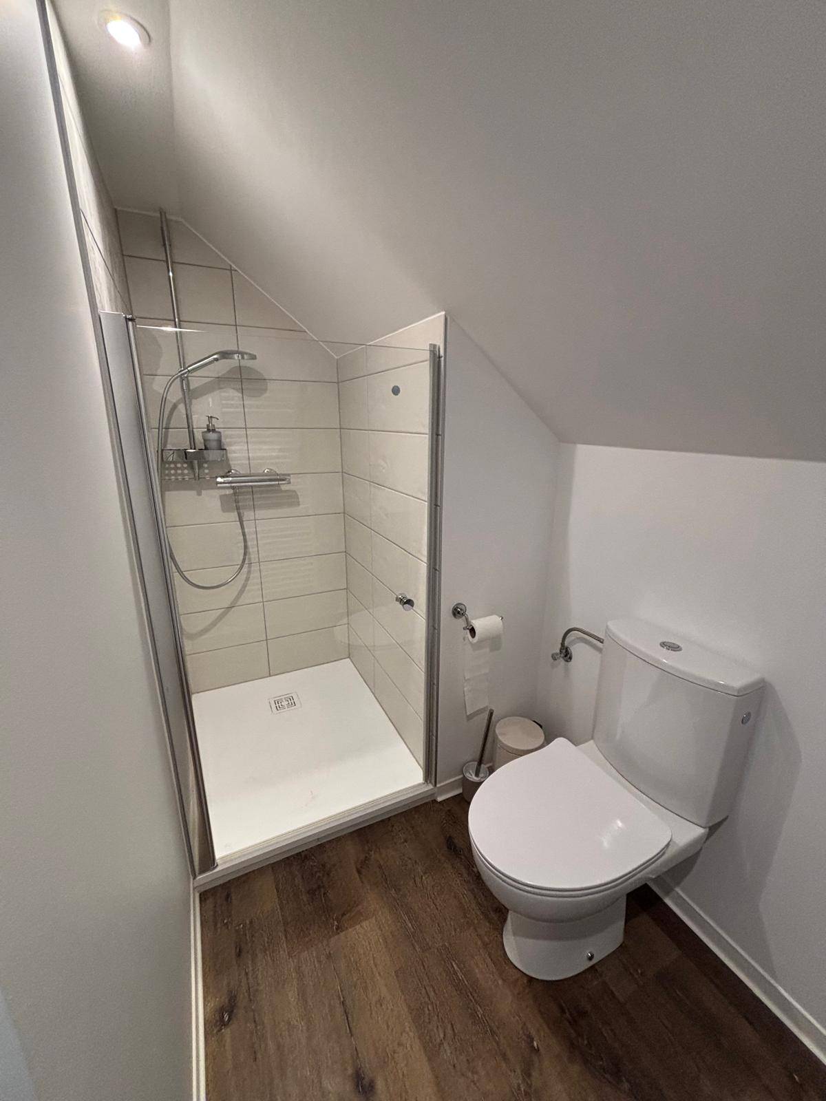 Rénovation globale : création d’une salle de bain dans des combles perdus Illzach